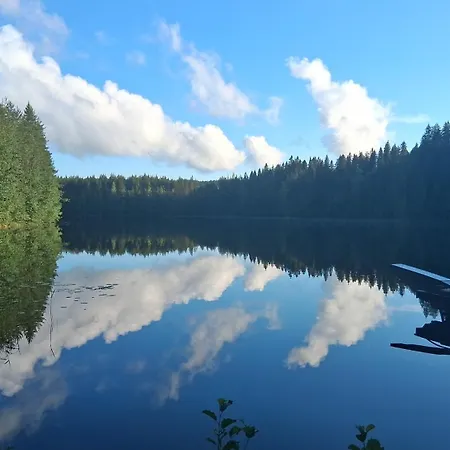 2 Bedroom With Sauna & Aircond At Palokka Mannisenmaeki * Jyväskylä