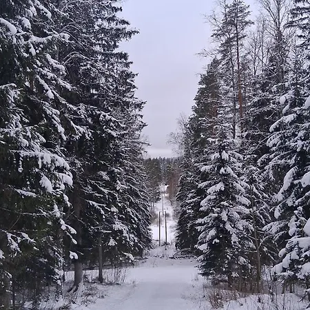 2 Bedroom With Sauna & Aircond At Palokka Mannisenmaeki Daire Jyväskylä